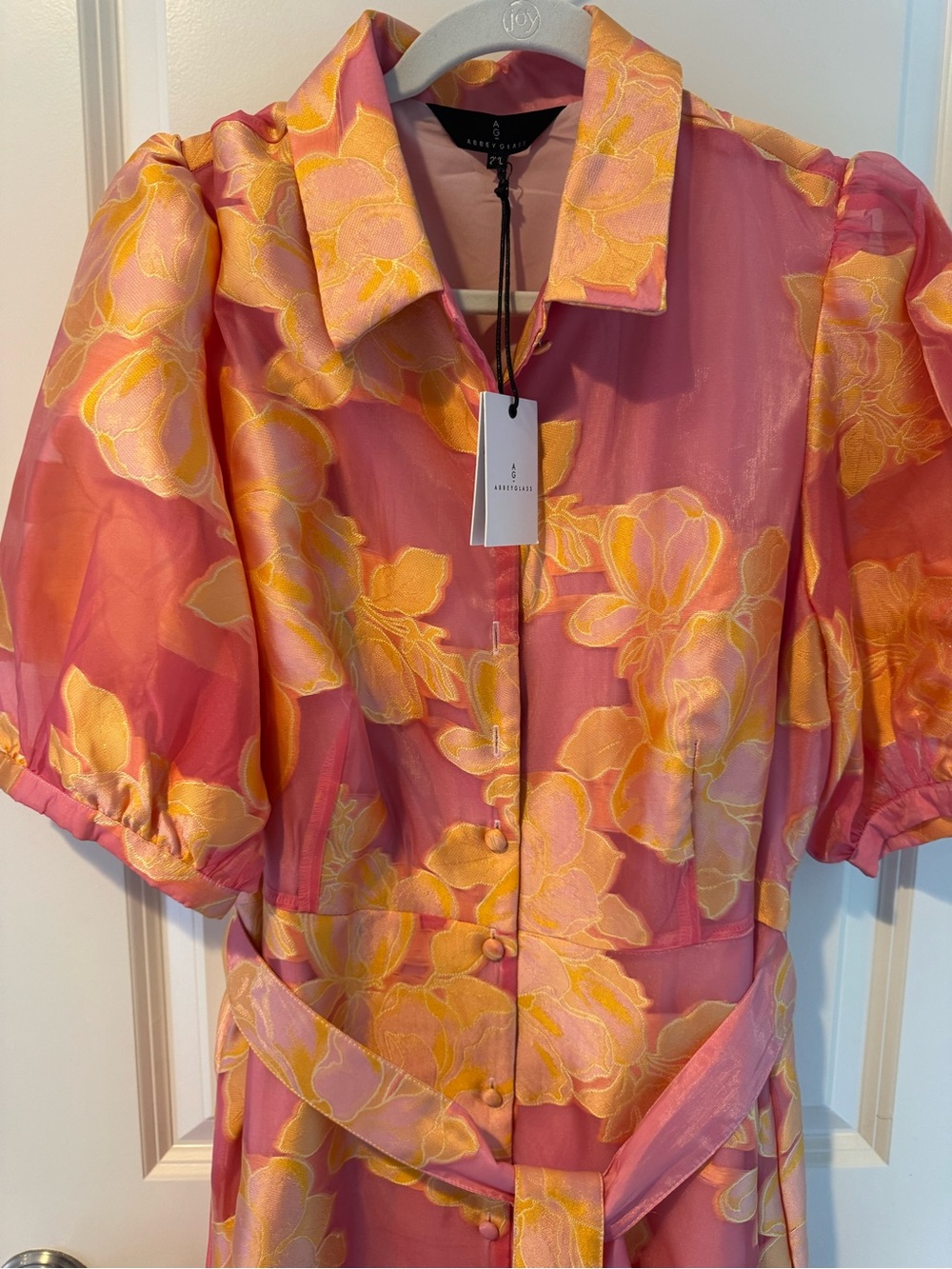NWT Abbey Glass Charlotte Gown Sorbet Peony Organza | XL - Picture 6 of 11